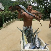 Storlzer Fischer mit frischer Dorado