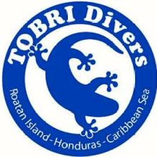 Tobri Divers Resort