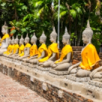 Einige Buddhas in Ayutthaya