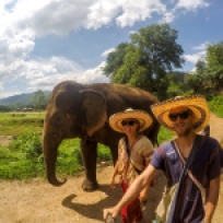 Auf dem Rückweg vom Elefanten Bad