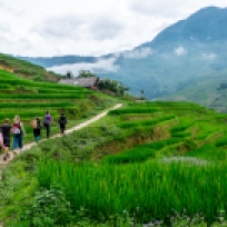 Unsere Gruppe begleitet von Hmong Damen auf dem Weg durch die Reisfelder