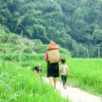 Hmong Frau mit Sohn und Hund auf dem Heimweg